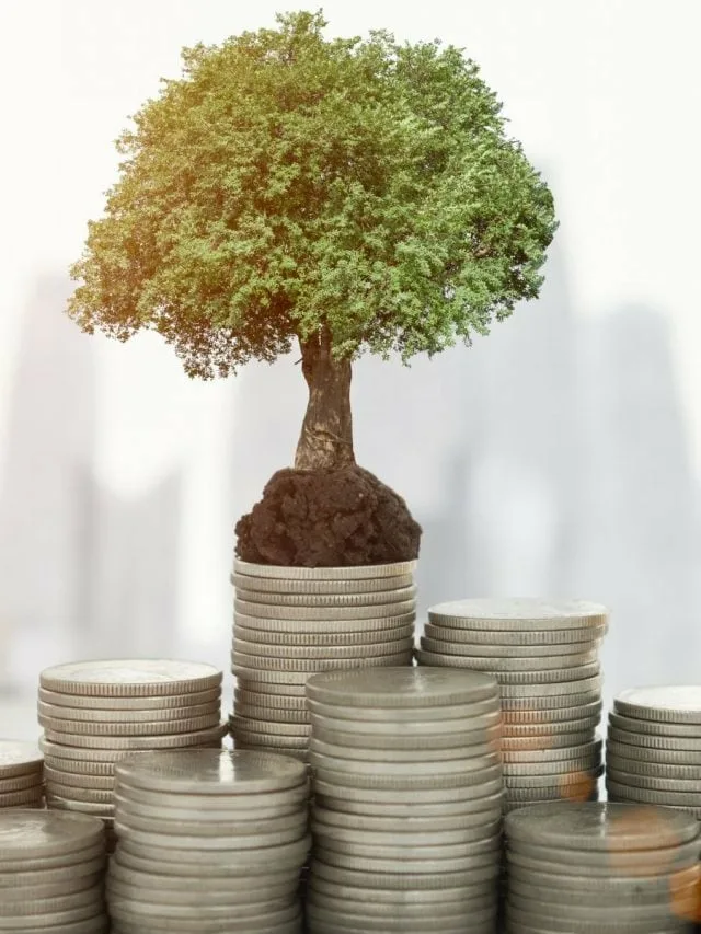 Person learning about investments